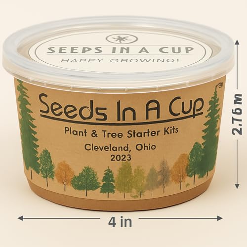 Seeds In A Cup® Macadamia Tree Grow Kit – Easy Indoor/Outdoor Seed Starter | Grow Your Own Nut Tree | Made in USA | Great Gift for Gardeners & Kids