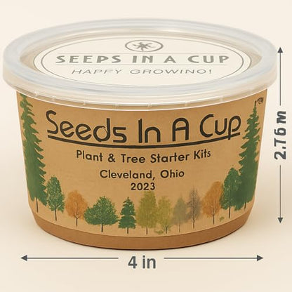 Seeds In A Cup® Macadamia Tree Grow Kit – Easy Indoor/Outdoor Seed Starter | Grow Your Own Nut Tree | Made in USA | Great Gift for Gardeners & Kids