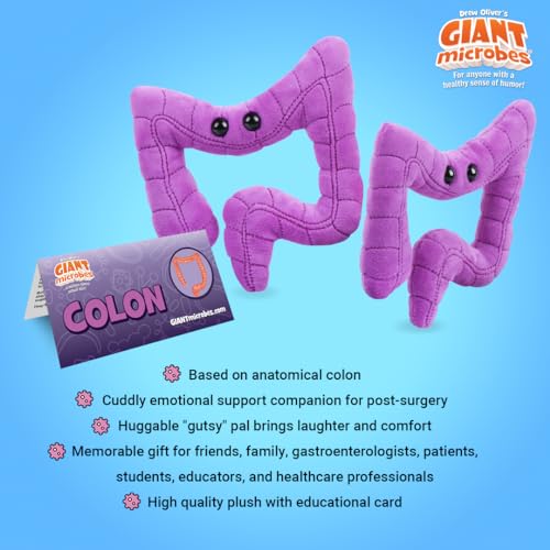 GIANT MICROBES Colon Plush, Gastroenterology Gifts, Organ Plushies