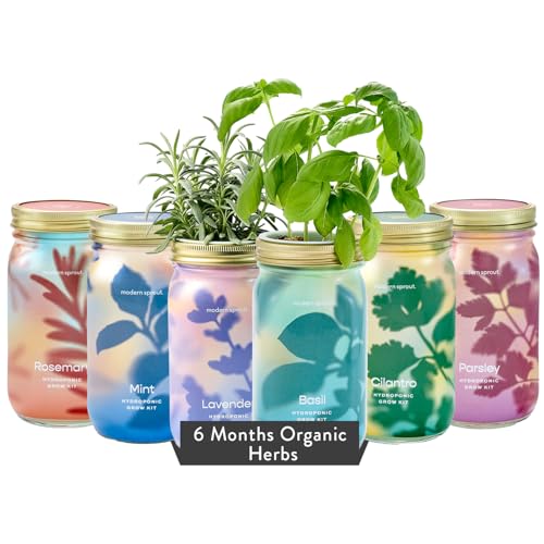 Modern Sprout Mason Jar Grow Set 6pk - Hydroponic Indoor Herb Garden Kit - color: Basil + Mint + Parsley + Cilantro + Rosemary+ Lavender, size: Garden Jars