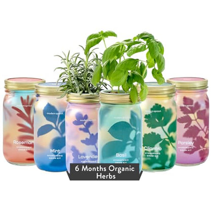 Modern Sprout Mason Jar Grow Set 6pk - Hydroponic Indoor Herb Garden Kit - color: Basil + Mint + Parsley + Cilantro + Rosemary+ Lavender, size: Garden Jars