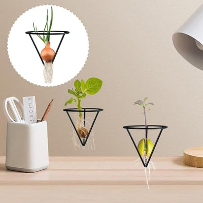 Avocado Growing Holder, Triangular Plant Propagation Bracket, Avocado Root Propagation Rack, for Home Landscape Garden Living Room Bedroom Balcony Backyard Patio Greenhouse - color: Black