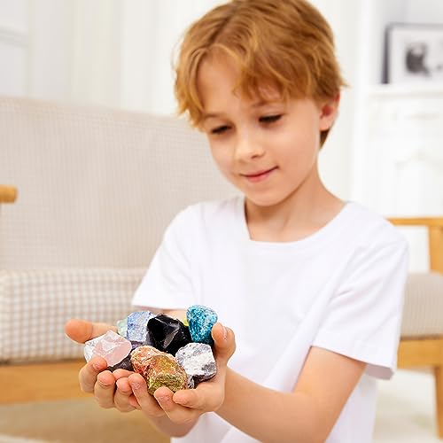 Rock Collection for Kids - 30Pcs Rocks, Gemstones & Crystals Kit