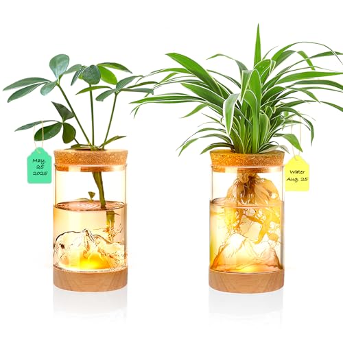 2Pcs Plant Propagation Station, Wooden Base with Lighting