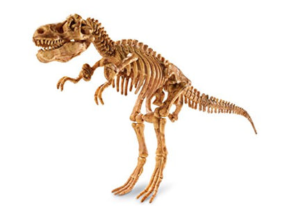 MindWare Dig It up Tyrannosaurus Rex Fossil Excavation Kit – Dinosaur Stem Toy for Kids – Includes Fossil Block, Hammer, Chisels, Brush, & Sponge
