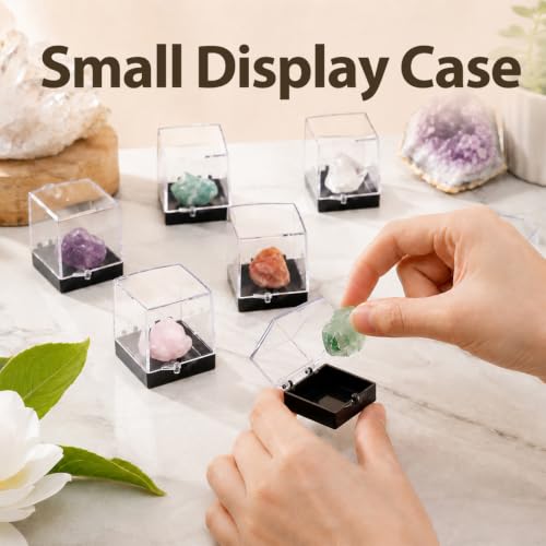 Cabilock 12 pack Mineral Specimen Box Clear Specimen Display Cases for Rock Samples 1.37 X 1.37 X 1.37 in Transparent Storage Cubes for Mineral Display and Collection
