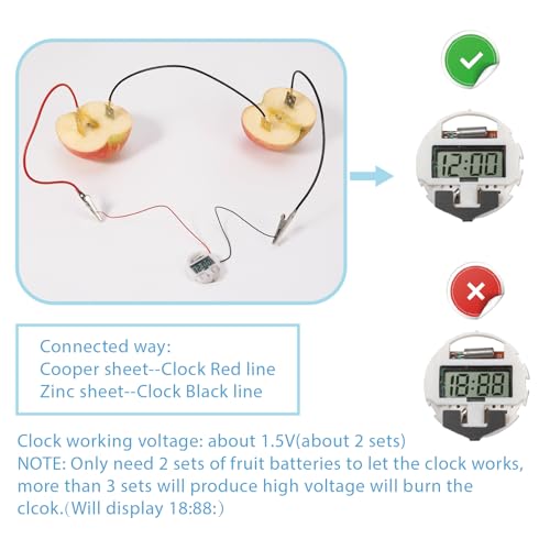 Sntieecr Fruit Battery Science Experiment Kit with Instruction - style: Fruit Battery Science Kit