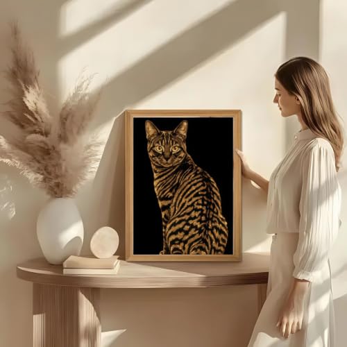 BYGFHLYW Cat 5D Diamond Painting Kit, Diamond Art for Adults12x16In - color: KM1142-1