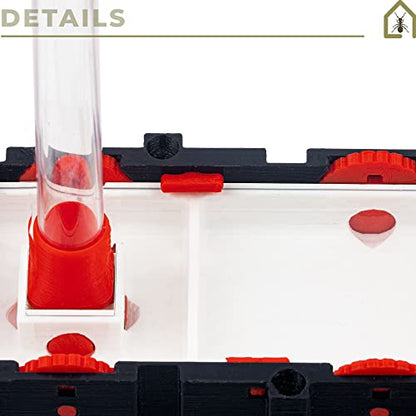 Anthouse.ES - 3D Modular Anthills - QBIK Duo Model - 6.78x12.78x5 cm - Ant Colonies - Terrarium - Large - size: Big