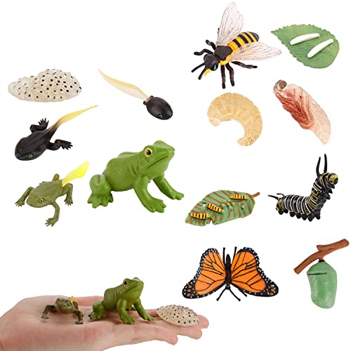 JOKFEICE 13pcs Insect Toys Life Cycle of Butterfly, Honey Bee & Frog Action Model, Plastic Bug Figurines, Early Educational Toys, Science Project, Christmas Birthday Gift for Kids