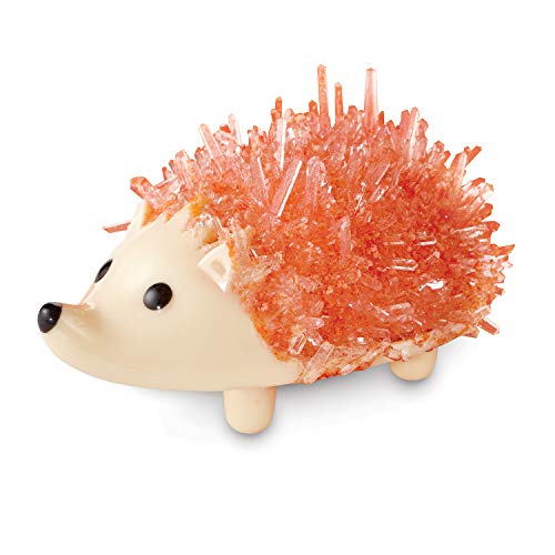 MindWare Crystal Growing Kits: Hedgehogs Warm Colors Set of 2 – Cute DIY Crystal Growing Kits for Kids & Teens – Mini Science Experiment – Crystals Grow in 24 Hours - style: Hedgehog