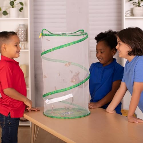 Insect Lore School Kit Refill with 33 Live Caterpillars - STEM Activity Journal & 33 Live Baby Painted Lady Butterfly Caterpillars - Cups & Tools Included - style: Refill For School kit 33