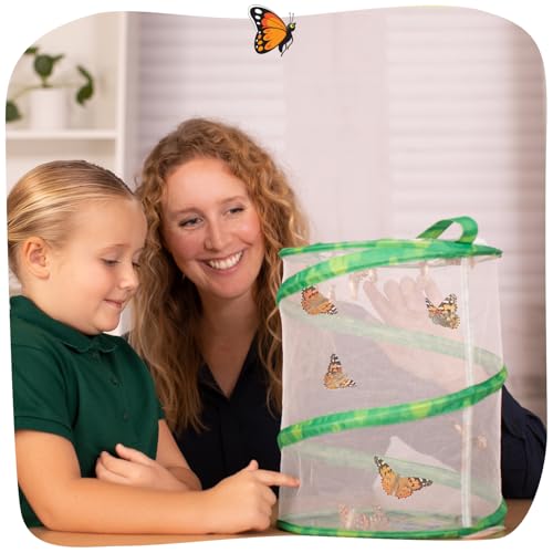 Insect Lore Raise and Release Butterfly Garden Kit – Caterpillar Habitat with redeemable Voucher – STEM-accredited Butterfly Growing Kit for Kids, Classrooms, and Homeschool Learning - size: 11.5 inch