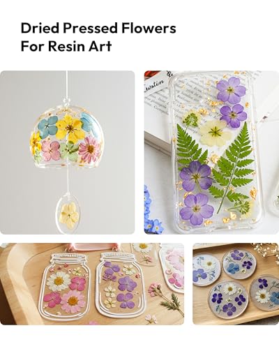 Dried Flowers, Resiners 100Pcs Pressed Flowers for Craft Purple Real Natural Dried Flowers Dry Leaves Kit for DIY Making Crafts Resin Soap Candle Scrapbook Supplies Card Making Jewelry - color: Violet 100pcs