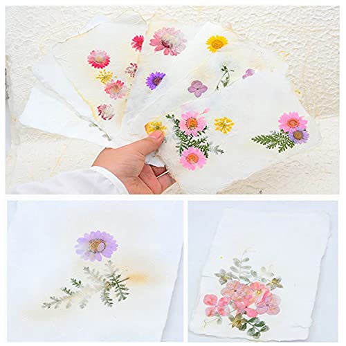 Worown Plastic Paper Making Frame Kit, Papermaking Mould, 5 x 7 Inch Screen for DIY Paper Making (Pack of 4) - size: 5-x-7-Inch (Pack of 4)