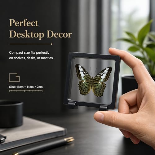 1pc Real Butterfly Specimen PE Film Suspension Box Elegant Black Frame Keepsake for Nature Lovers Scientific Specimen Display (Parthenos Sylvia Butterfly) - color: Parthenos Sylvia Butterfly