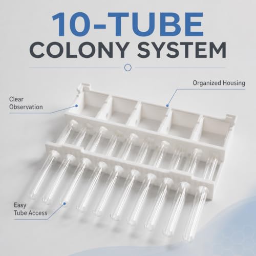 Stackable Ant Farm Formicarium with 10 Test Tubes, White Plastic Base, 5 Compartments, 15mm/18mm Tube Options (15 mm Test Tubes) - size: 15 mm test tubes