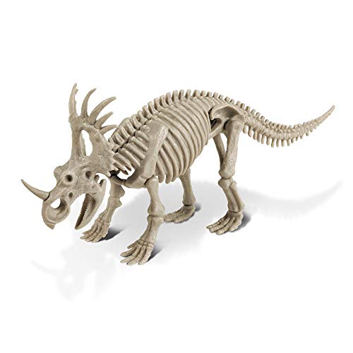 cl1669 K – Dino Excavation Kit, Styracosaurus Skeleton