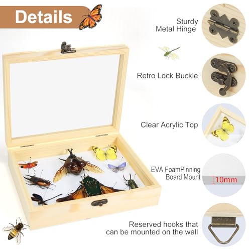 Making Insect Specimen Tools Kit - Insect Pins, Shadow Box, Pinning Board, Wings Pressing Paper, Tweezers, Scissors - Collection Display for Bug Hobbyists/Biology Projects
