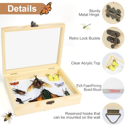 Making Insect Specimen Tools Kit - Insect Pins, Shadow Box, Pinning Board, Wings Pressing Paper, Tweezers, Scissors - Collection Display for Bug Hobbyists/Biology Projects