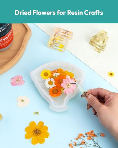 Dried Flowers, Resiners 100Pcs Fall Pressed Flowers for Craft Real Natural Dried Flowers Dry Leaves Kit for DIY Making Crafts Resin Soap Candle Scrapbook Supplies Card Making Jewelry - color: Fall Color 100pcs