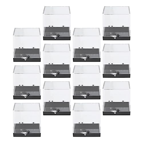 DOITOOL 12 Pack Mineral Specimen Storage Boxes Clear Plastic Specimen Display Cases 1.37 Inch Square Rock Display Containers for Home Collecting and Scientific Use