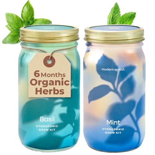 Modern Sprout Mason Garden Jar - Self-Watering Hydroponics Kit - Basil+Mint - color: Basil+mint, size: Garden Jars