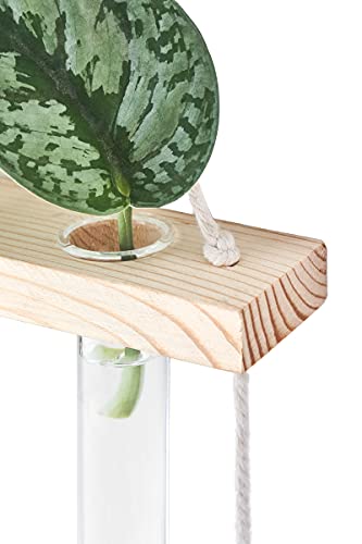 Mkono Plant Propagation Station, 3 Tier Beige Wall Hanging Vase Test Tubes - color: Beige, size: Medium