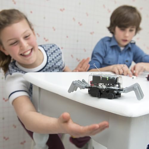 4M 5576 Table Top Robot - DIY Robotics Stem Toys, Engineering Edge Detector Gift for Kids & Teens, Boys & Girls (Packaging May Vary) - style: Table Top Robot