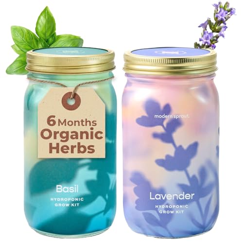 Modern Sprout Mason Garden Jar-Self-Watering Hydroponics Kit-Basil+Lavender - color: Basil + Lavender, size: Garden Jars