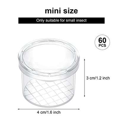 Thyle 60 Pieces Bug Viewer Bug Cage Catcher Magnifying Insect Box Bug Magnifier Container Bug Catcher Cage Nature Jar Bulk for Science Class Exploration Backyard Tools Outdoor