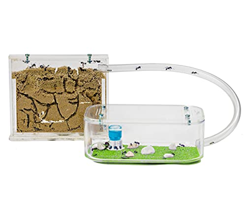 AntHouse - Natural Sand Ant Hill- Basic Kit | Sandwich (4.72 x 3.94 x 0.39 in) + Forage Box (7.09x 3.94 x 1.97 in) | Ant Farm - color: Clear