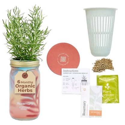 Modern Sprout Mason Garden Jar - Self-Watering Hydroponics Kit - Rosemary - color: Rosemary, size: Garden Jars