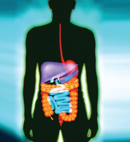 Guts: Revised Edition – Exploring How Food Becomes Energy in the Digestive System for Kids (Ages 6-10)