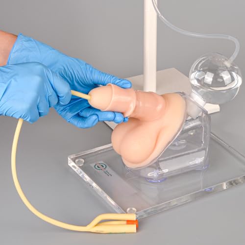 Male Urethral Catheterization Simulator, Urinary Catheter Anatomy Model for Medical Students Or Nurses, Catheterization Model