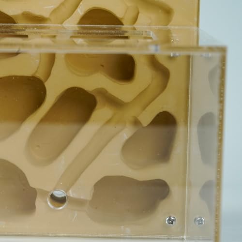 Cave Tower Plaster Ant Farm with Outworld and 10 mm Ports