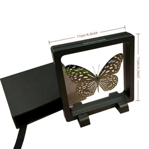 1pc 3D Suspension Frame with Real Butterfly Specimen Protective PE Film Box Creative Home Decor Collectible (Tirumala limniace Butterfly) - color: Tirumala Limniace Butterfly
