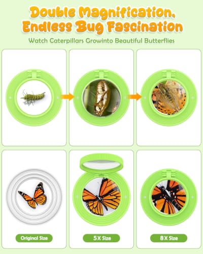 Bug Catcher for Kids,Kids Microscope,3-in-1 Insect Catching Kit for Kid - color: light green