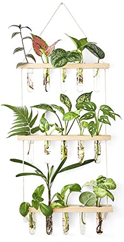 Mkono Plant Propagation Station, 3 Tier Beige Wall Hanging Vase Test Tubes - color: Beige, size: Medium