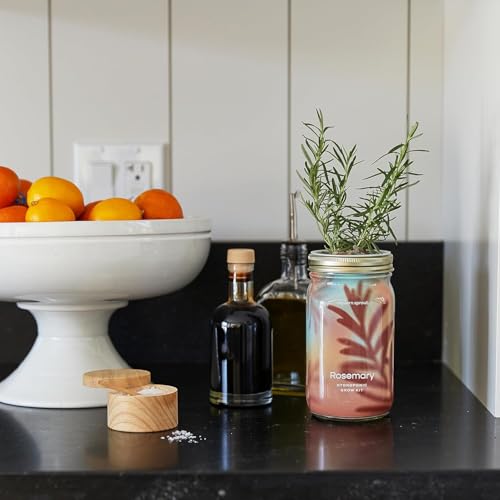 Modern Sprout Mason Garden Jar-Self-Watering Kit - Lavender+Rosemary - color: Lavender+rosemary, size: Garden Jars