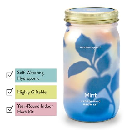 Modern Sprout Mason Garden Jar - Self-Watering Hydroponics Kit - Basil+Mint - color: Basil+mint, size: Garden Jars
