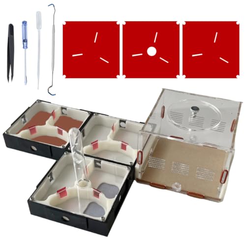 Ant Farm Nest Science DIY Terrarium Kit Care for Live Ants Ant Habitat with Water Tower Nurturing Room and Comprehensive Observation-Set 4 - size: 4