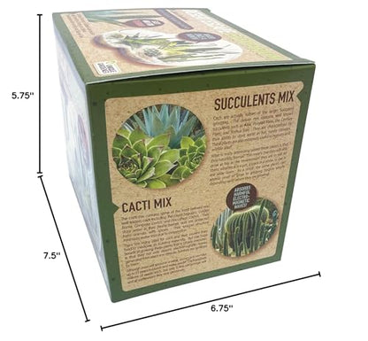 Grow Your Own Desert Escape in A Quality Glass Terrarium Starter Kit with Complete Supplies - Easy to Maintain Indoor Cacti and Succulents - Over A Dozen Desert Plants That Will Last for Years! - style: Desert Escape Growarium