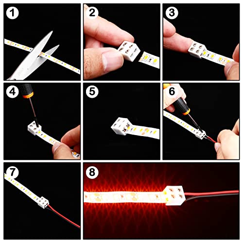 25 Pack Solderless White Led Tape Light Connectors Tighten Screw Terminal Blocks 2 Pin 10mm Connector with Screwdriver Wire to Strip Connector for 5v 12v 24v Monochrome LED Low - size: 10mm-25
