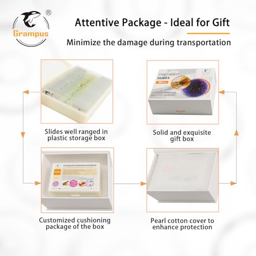 30 Prepared Microscope Slides with Specimens for Kids Students - Plants, for Biological Science Lab, Children's Science Education, Homeschooling Use - style: 30PCS Plants