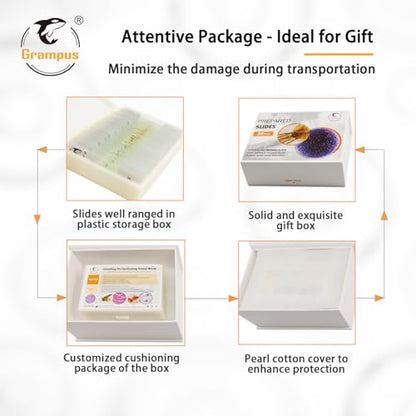 30 Prepared Microscope Slides with Specimens for Kids Students - Histology, for Biological Science Lab, Children's Science Education, Homeschooling Use - style: 30PCS Histology
