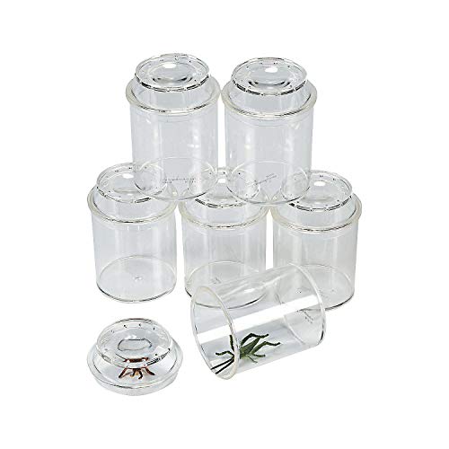 Fun Express See-Through Bug Box Jars, Clear, 10 Pieces