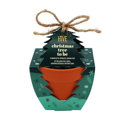 Buzzy Seeds Holiday Spruce Grow Kit 4-Pack, Terracotta Pots, Bonsai Gift