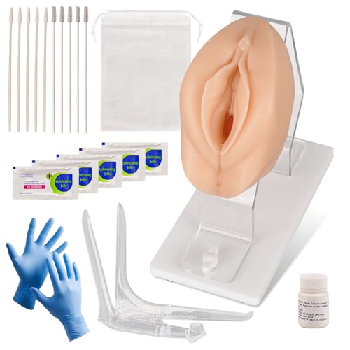 Pelvic Health Model, Gynecological Examination Trainer