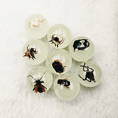 Multiple Psc Spherical Insect Amber Fossil, Spherical Luminous Insect Specimen, Educational and Scientific Amber Collection (8Pcs)